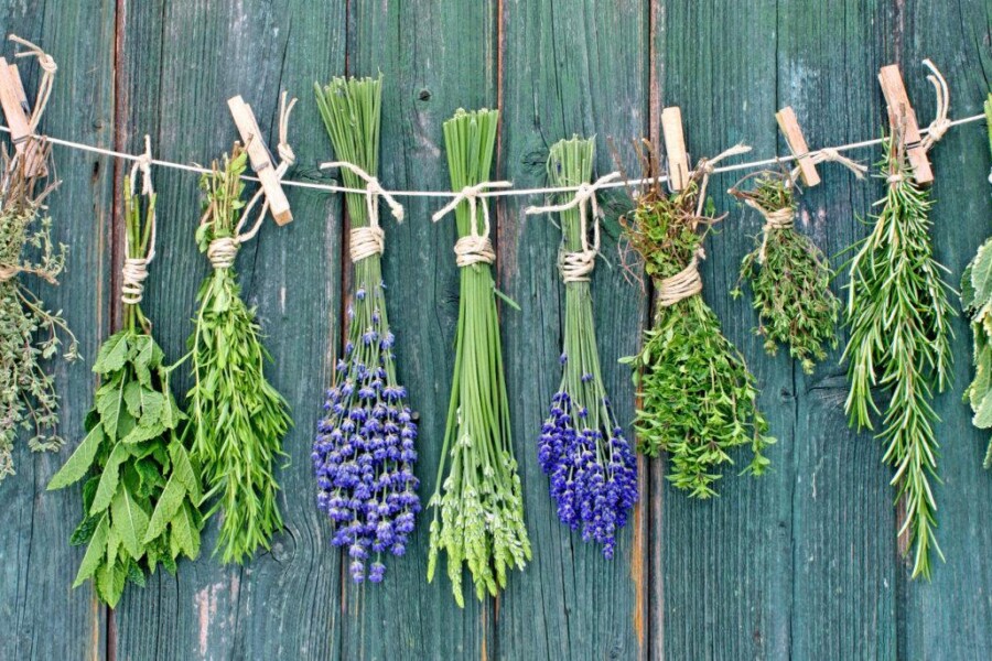 zioła na wypadanie włosow