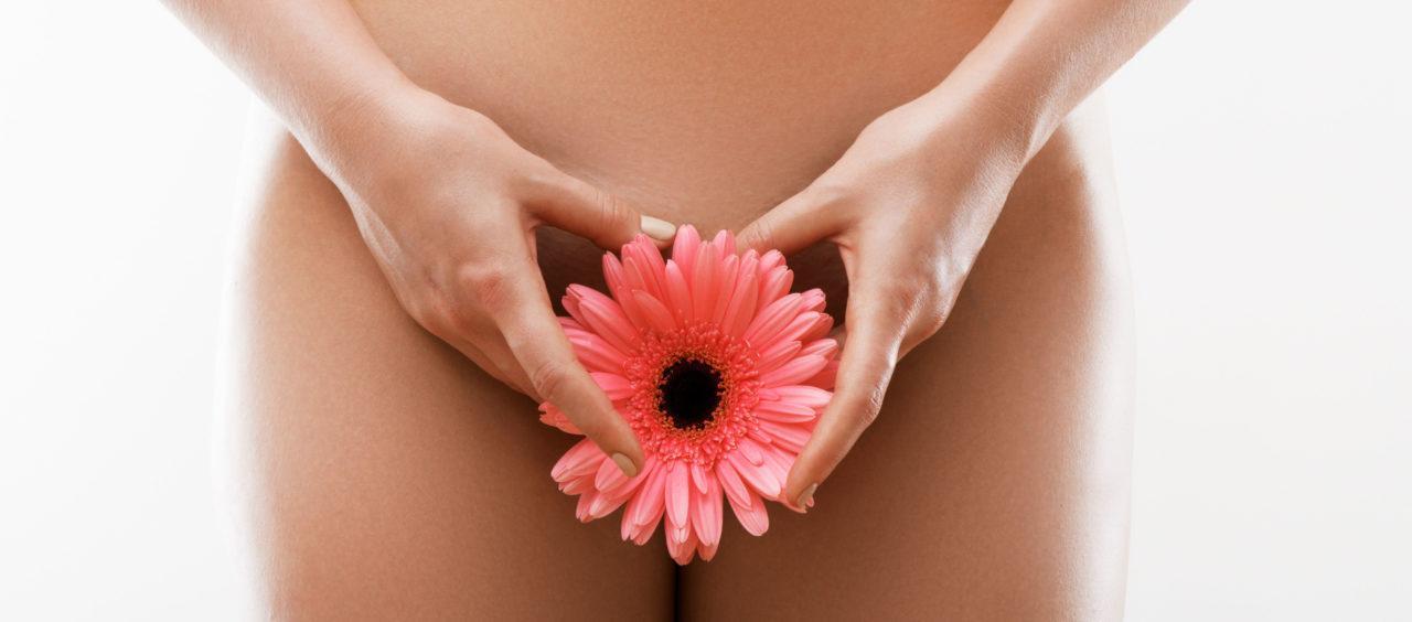 przeszczep wlosow lonowych