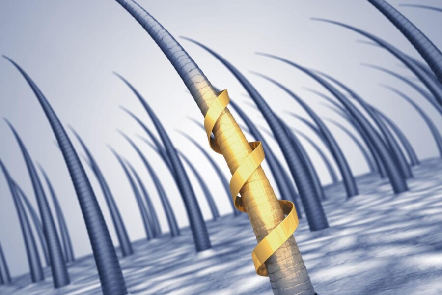 budowa włosa skład gdzie powstaje