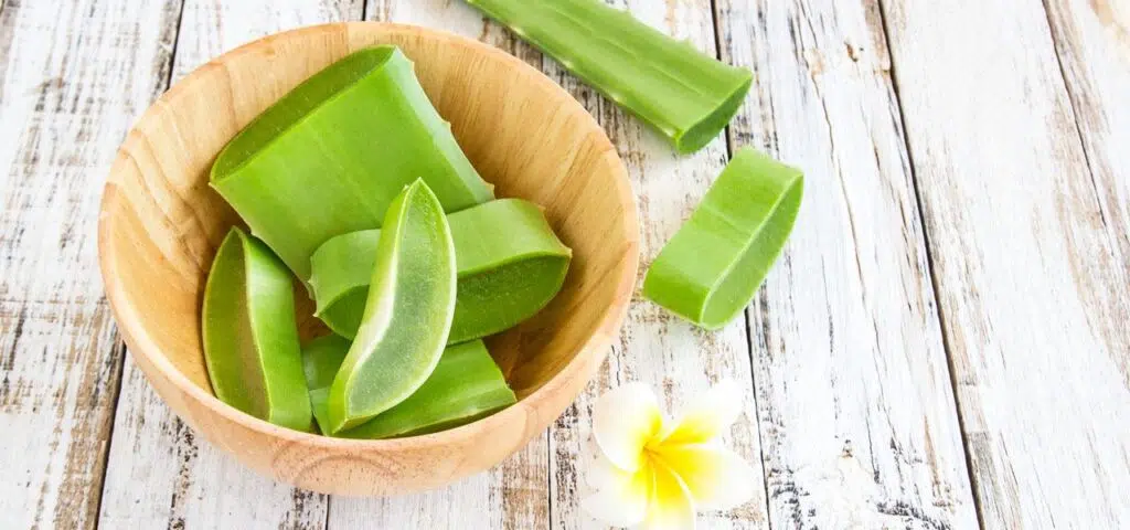 aloe vera gegen dehnungsstreifen erfahrungen Aloe Vera Gel – Feuchtigkeitspflege für trockene und sonnenstrapazierte Haut main image 1
