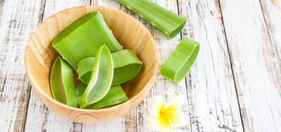 aloes