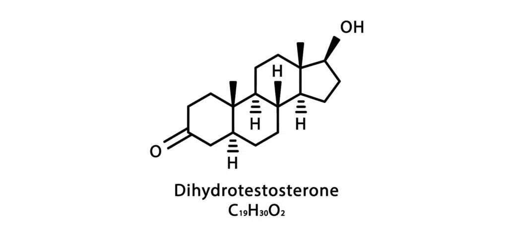 dht dihydrotestosterone