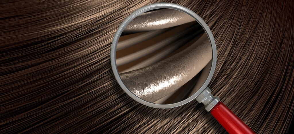 Emollients, humectants, proteins. What ingredients are most important for hair?