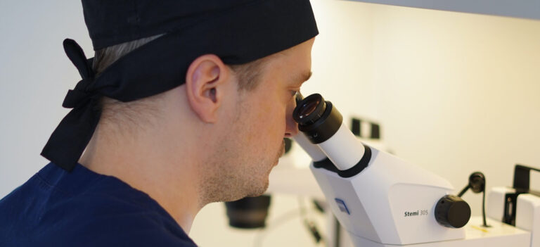 checking grafts under a microscope