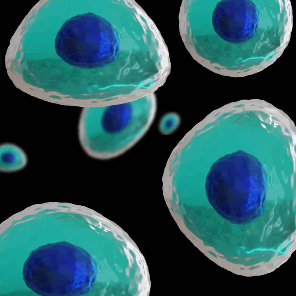 egzosomy