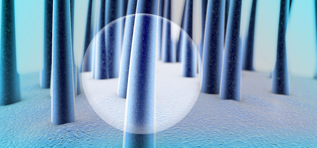 wlosy po terapii pod mikroskopem